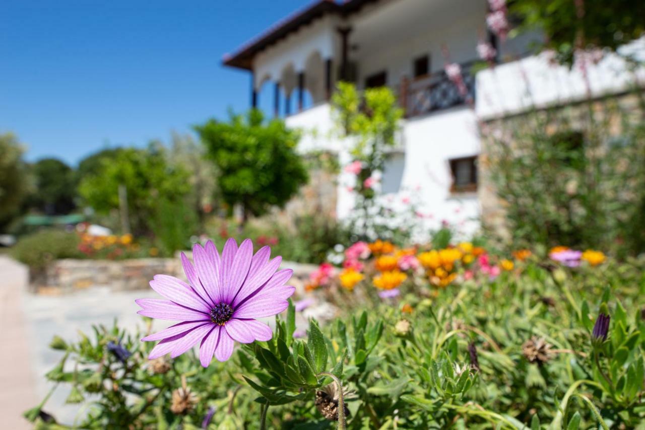 Garden House Psarogiannis Apartment Vourvourou Luaran gambar