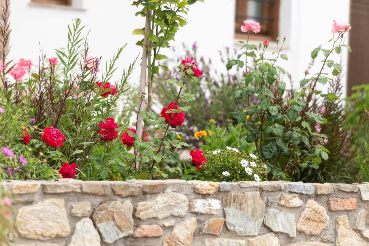 Garden House Psarogiannis Apartment Vourvourou Luaran gambar